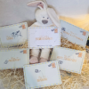Cartes 1ers voyages-L'Instant Bébé