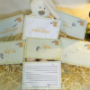 Cartes 1ers voyages-verso-L'Instant Bébé