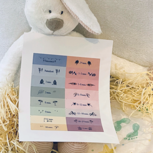 Cartes séparateur penderie-autocollants-L'Instant Bébé