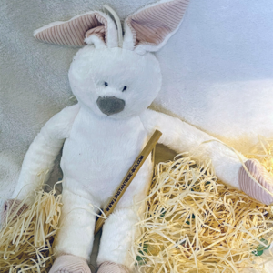 Stylo-L'Instant Bébé