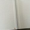 carnet de suivi bébé-intérieur -l'Instant Bébé